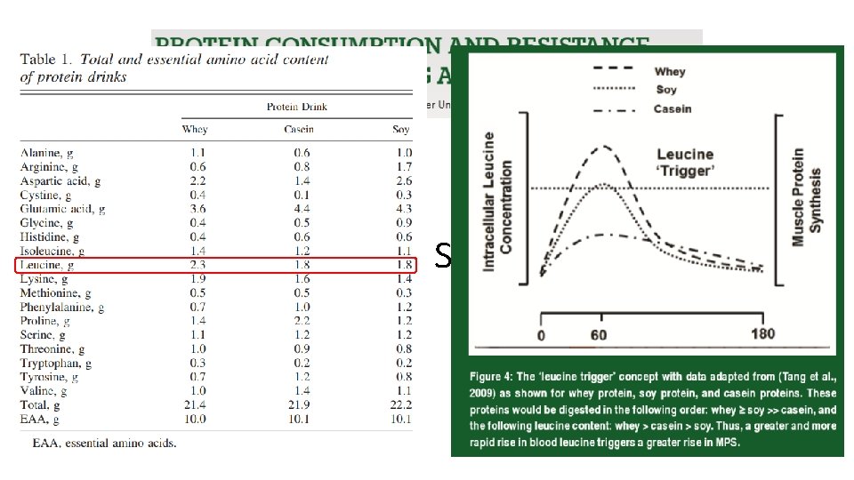 (2013) Qual proteína seria melhor? 