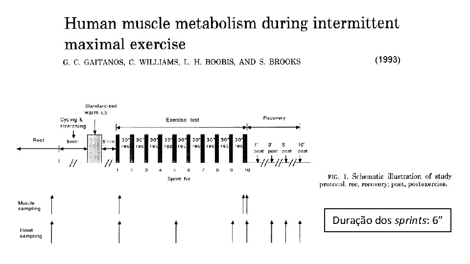 (1993) Duração dos sprints: 6” 