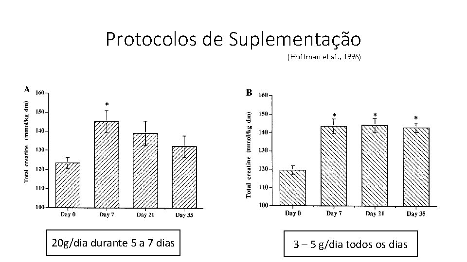 Protocolos de Suplementação (Hultman et al. , 1996) 20 g/dia durante 5 a 7