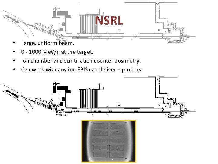 NSRL • • Large, uniform beam. 0 - 1000 Me. V/n at the target.