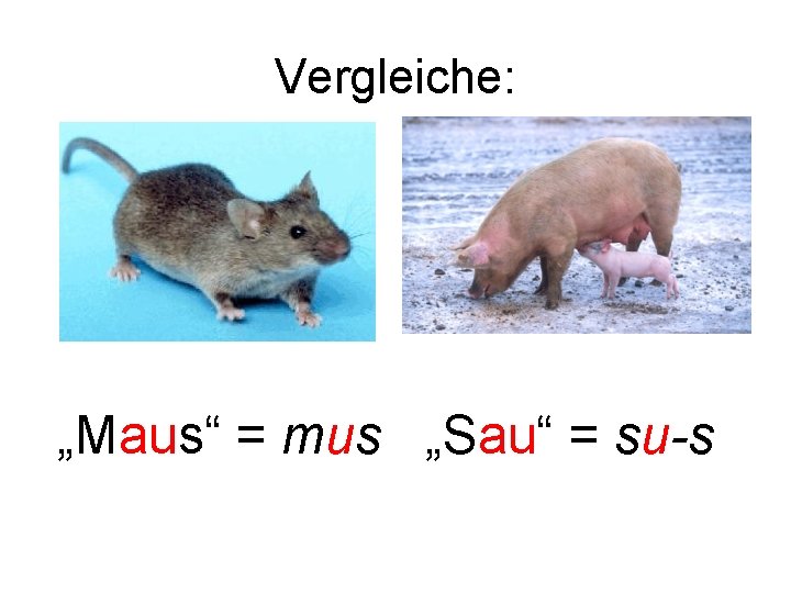 Vergleiche: „Maus“ = mus „Sau“ = su-s 