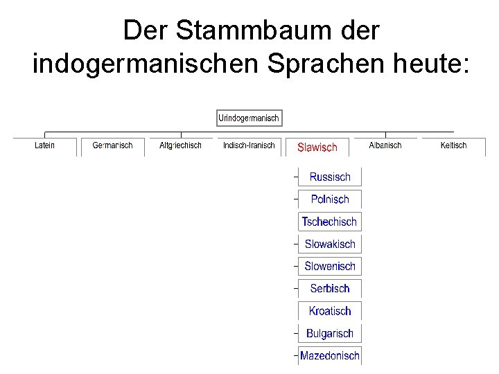 Der Stammbaum der indogermanischen Sprachen heute: 