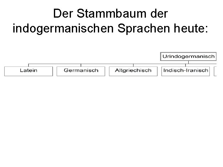 Der Stammbaum der indogermanischen Sprachen heute: 