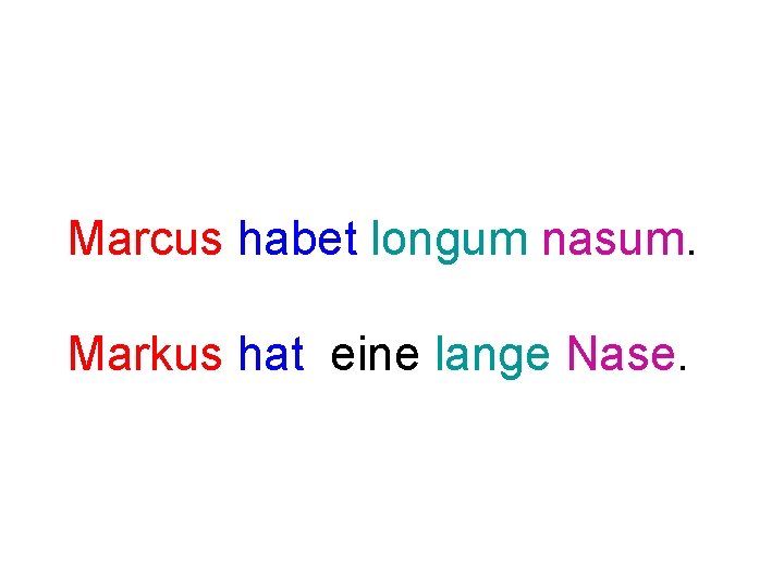 Marcus habet longum nasum. Markus hat eine lange Nase. 