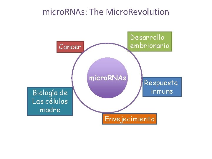 micro. RNAs: The Micro. Revolution Desarrollo embrionario Cancer micro. RNAs Biología de Las células