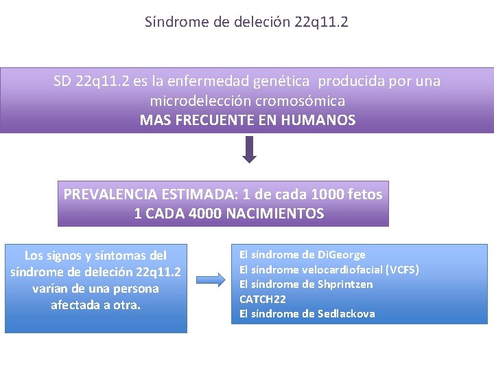 Síndrome de deleción 22 q 11. 2 SD 22 q 11. 2 es la