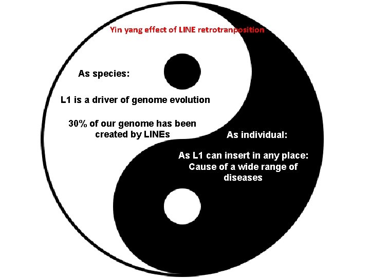 Yin yang effect of LINE retrotranposition As species: L 1 is a driver of