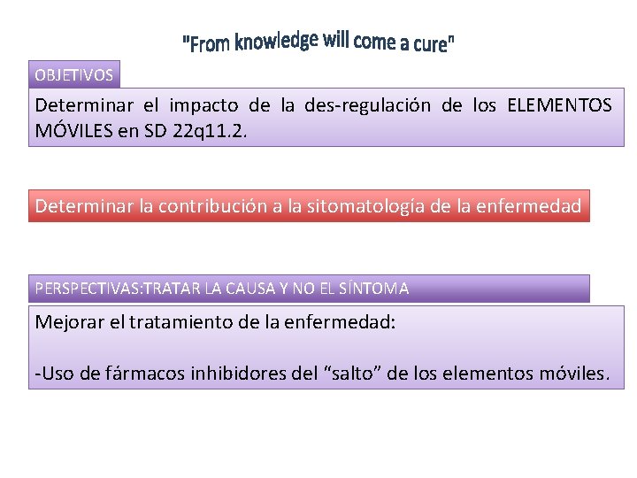 OBJETIVOS Determinar el impacto de la des-regulación de los ELEMENTOS MÓVILES en SD 22