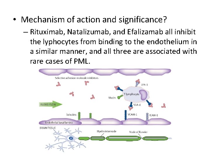  • Mechanism of action and significance? – Rituximab, Natalizumab, and Efalizamab all inhibit