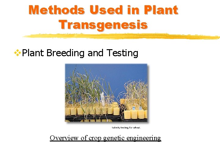 Methods Used in Plant Transgenesis v. Plant Breeding and Testing Overview of crop genetic
