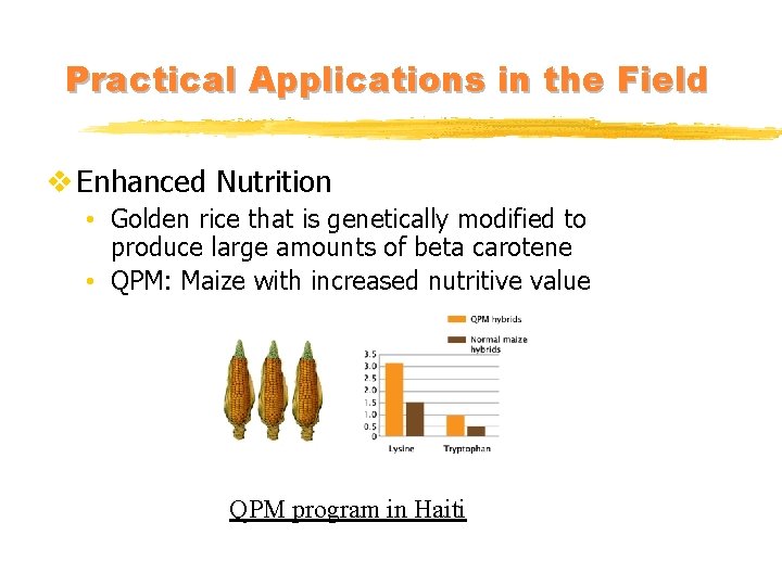 Practical Applications in the Field v Enhanced Nutrition • Golden rice that is genetically