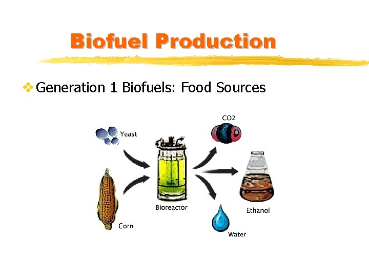 Biofuel Production v Generation 1 Biofuels: Food Sources 
