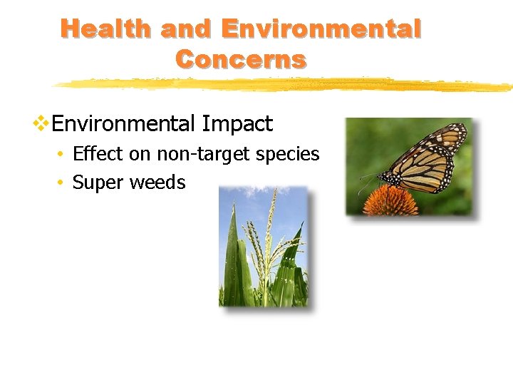 Health and Environmental Concerns v. Environmental Impact • Effect on non-target species • Super