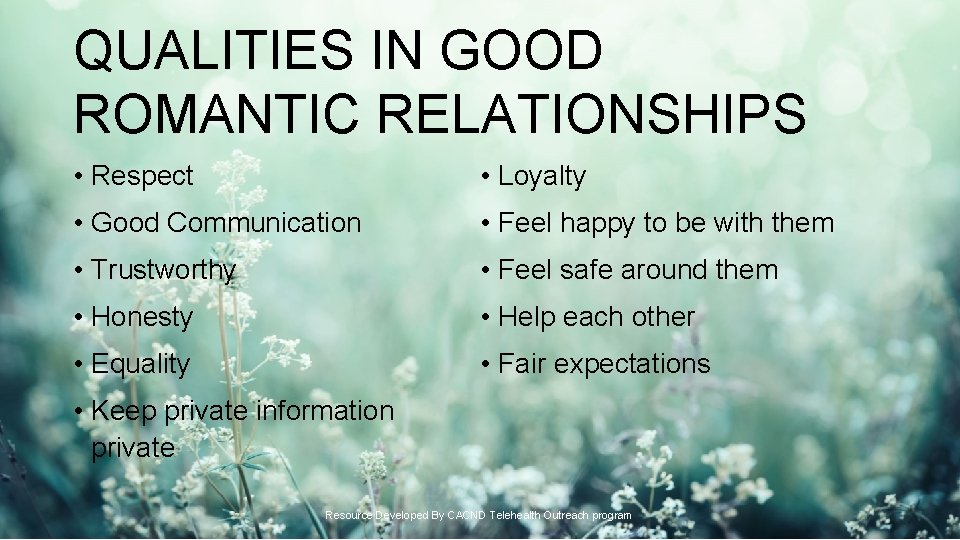 QUALITIES IN GOOD ROMANTIC RELATIONSHIPS • Respect • Loyalty • Good Communication • Feel