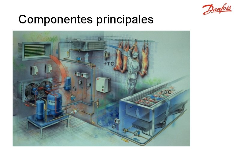 Componentes principales 