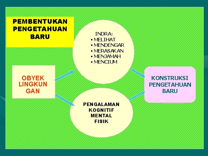 PEMBENTUKAN PENGETAHUAN BARU INDRA: • MELIHAT • MENDENGAR • MERASAKAN • MENJAMAH • MENCIUM