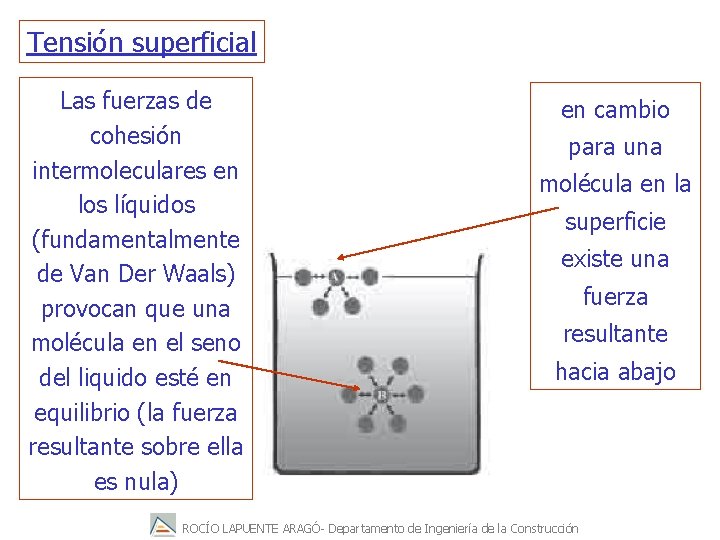 Tensión superficial Las fuerzas de cohesión intermoleculares en los líquidos (fundamentalmente de Van Der