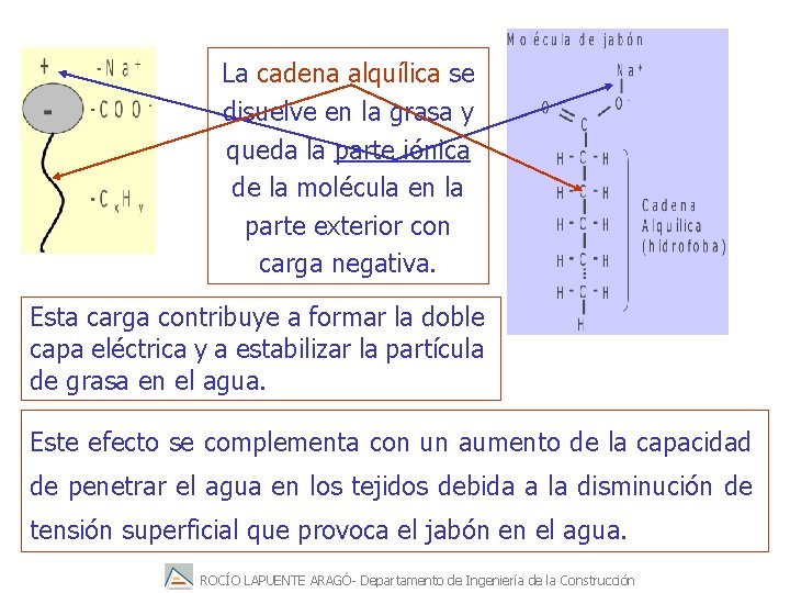 La cadena alquílica se disuelve en la grasa y queda la parte iónica de