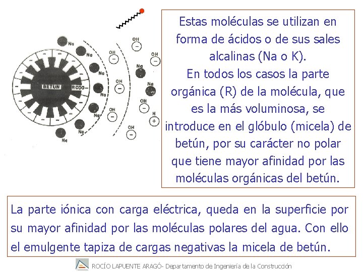 Estas moléculas se utilizan en forma de ácidos o de sus sales alcalinas (Na