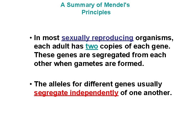 A Summary of Mendel's Principles • In most sexually reproducing organisms, each adult has