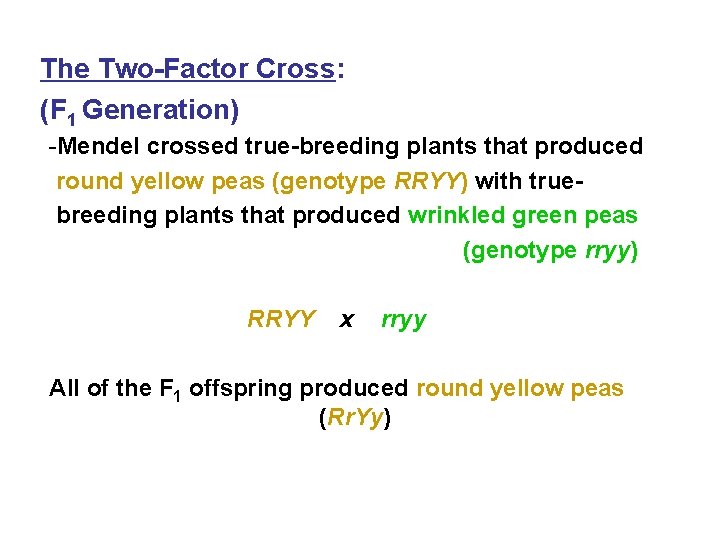 The Two-Factor Cross: (F 1 Generation) -Mendel crossed true-breeding plants that produced round yellow
