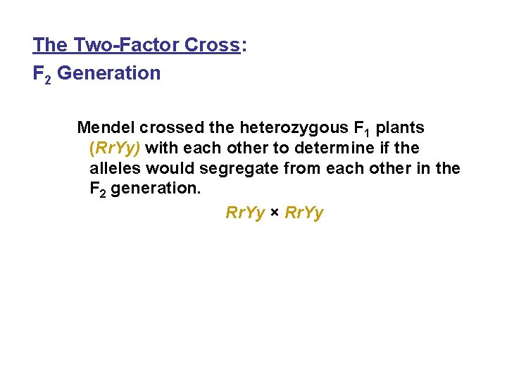 The Two-Factor Cross: F 2 Generation Mendel crossed the heterozygous F 1 plants (Rr.
