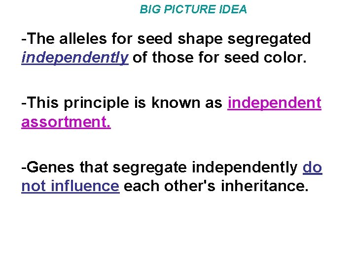 BIG PICTURE IDEA -The alleles for seed shape segregated independently of those for seed