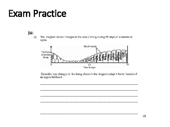 Exam Practice 