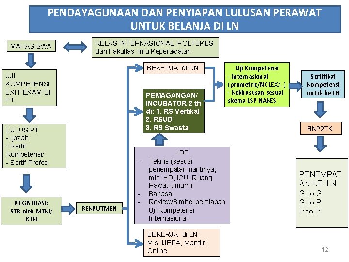 PENDAYAGUNAAN DAN PENYIAPAN LULUSAN PERAWAT UNTUK BELANJA DI LN MAHASISWA KELAS INTERNASIONAL: POLTEKES dan