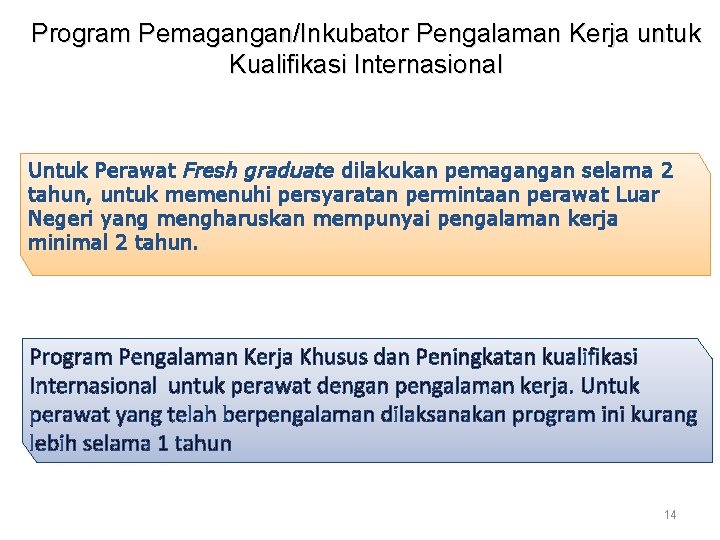 Program Pemagangan/Inkubator Pengalaman Kerja untuk Kualifikasi Internasional Untuk Perawat Fresh graduate dilakukan pemagangan selama