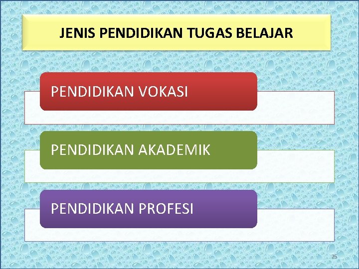 JENIS PENDIDIKAN TUGAS BELAJAR PENDIDIKAN VOKASI PENDIDIKAN AKADEMIK PENDIDIKAN PROFESI 25 