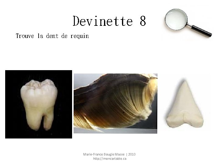 Devinette 8 Trouve la dent de requin Marie-France Bougie Masse | 2010 http: //moncartable.