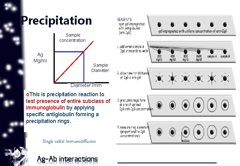 Precipitation Sample concentration Ag Mg/ml Sample Diameter /mm o. This is precipitation reaction to