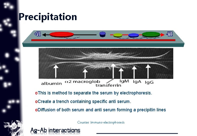 Precipitation o. This is method to separate the serum by electrophoresis. o. Create a