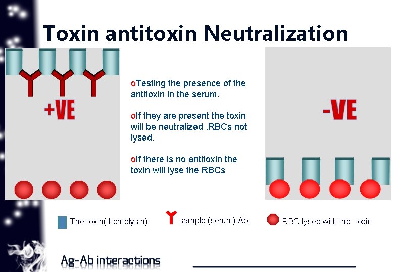 Toxin antitoxin Neutralization o. Testing the presence of the antitoxin in the serum. o.