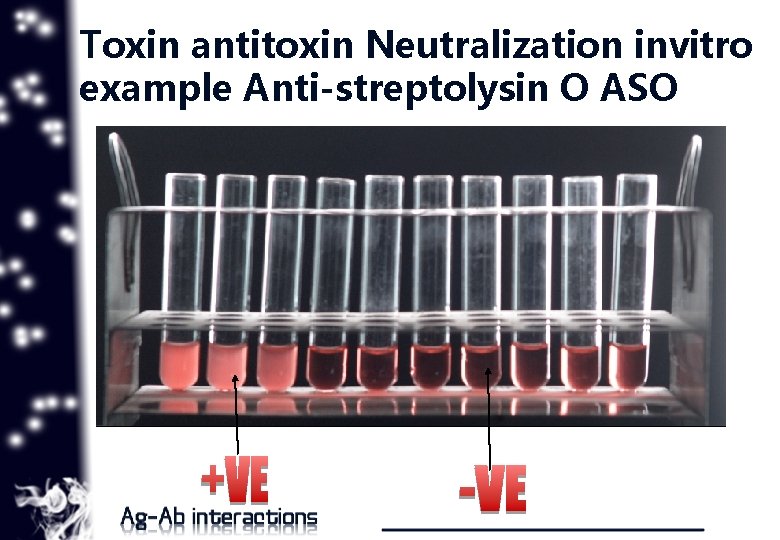 Toxin antitoxin Neutralization invitro example Anti-streptolysin O ASO 