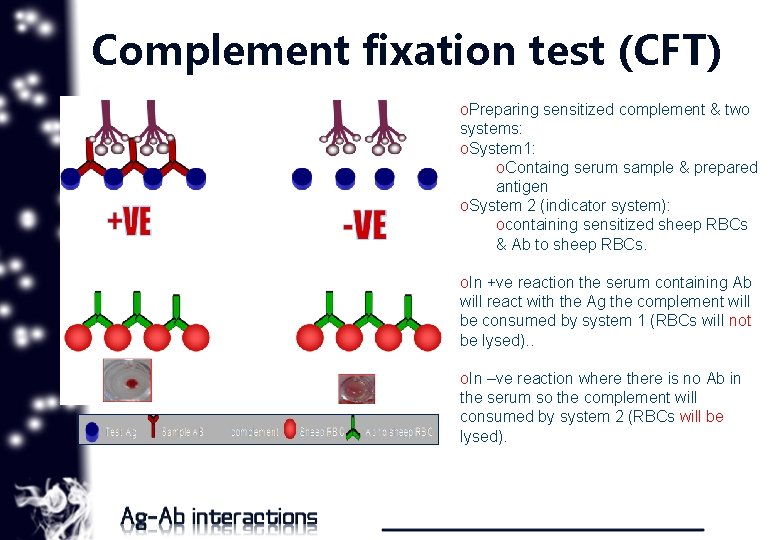 Complement fixation test (CFT) o. Preparing sensitized complement & two systems: o. System 1: