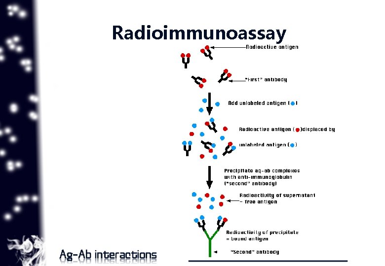 Radioimmunoassay 29 