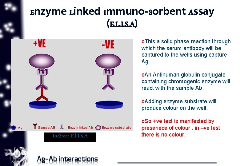 Enzyme Linked Immuno-Sorbent Assay (E. L. I. S. A) o. This a solid phase