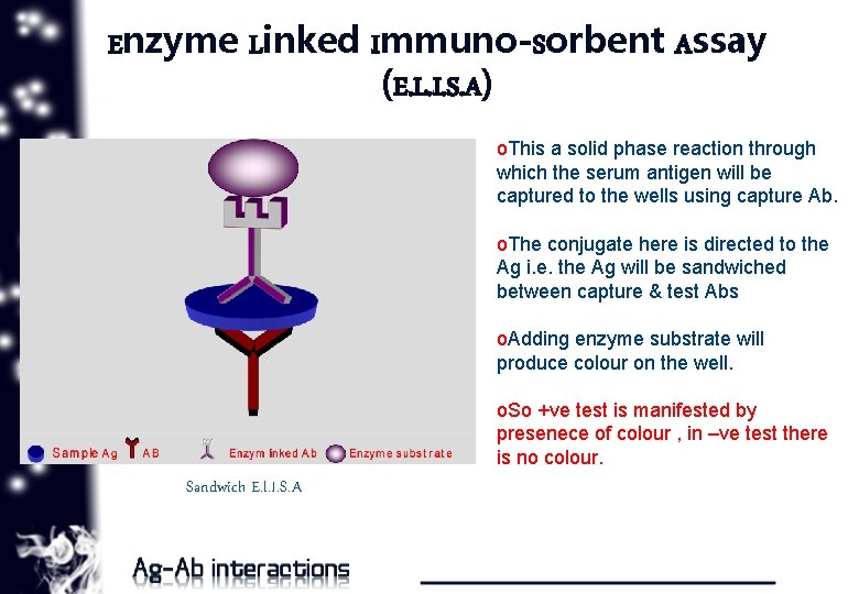 Enzyme Linked Immuno-Sorbent Assay (E. L. I. S. A) o. This a solid phase