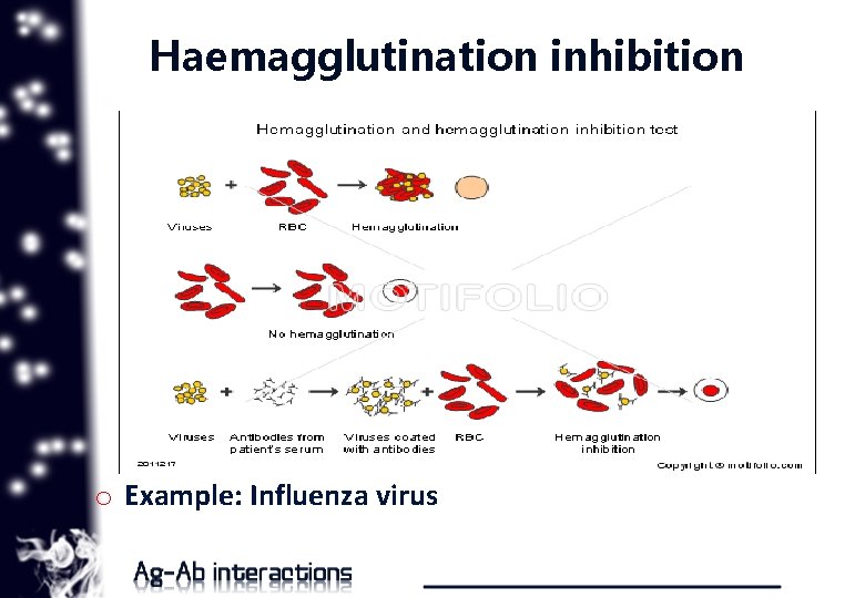 Haemagglutination inhibition o Example: Influenza virus 9 