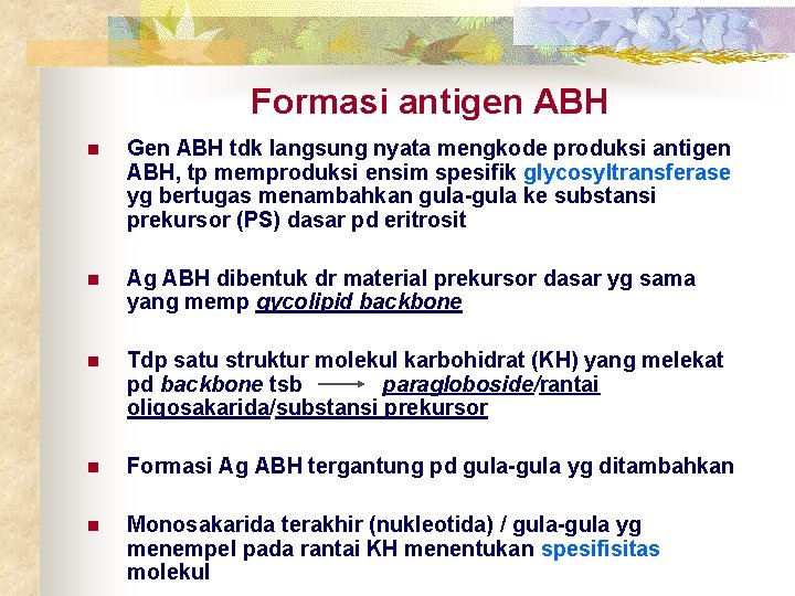 Formasi antigen ABH n Gen ABH tdk langsung nyata mengkode produksi antigen ABH, tp