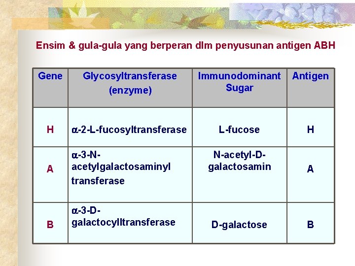 Ensim & gula-gula yang berperan dlm penyusunan antigen ABH Gene Glycosyltransferase (enzyme) Immunodominant Sugar