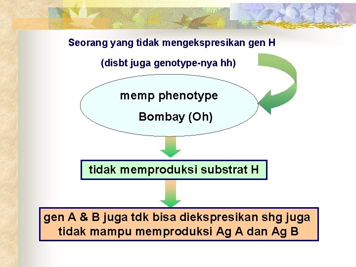 Seorang yang tidak mengekspresikan gen H (disbt juga genotype-nya hh) memp phenotype Bombay (Oh)