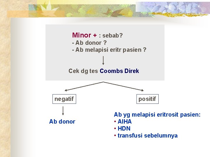 Minor + : sebab? - Ab donor ? - Ab melapisi eritr pasien ?