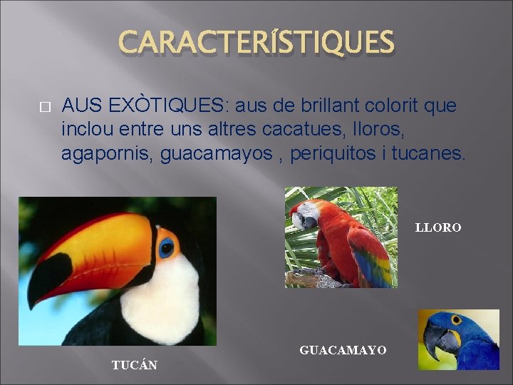 CARACTERÍSTIQUES � AUS EXÒTIQUES: aus de brillant colorit que inclou entre uns altres cacatues,