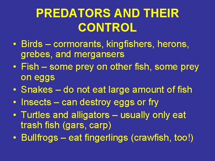 PREDATORS AND THEIR CONTROL • Birds – cormorants, kingfishers, herons, grebes, and mergansers •