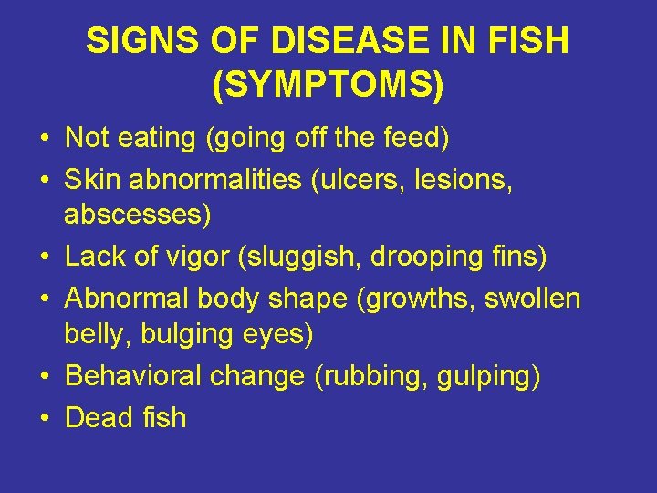 SIGNS OF DISEASE IN FISH (SYMPTOMS) • Not eating (going off the feed) •