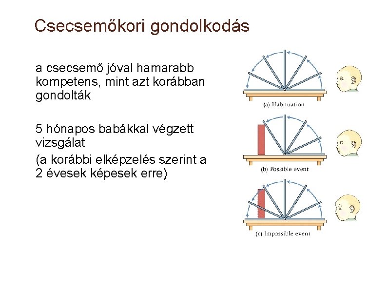 Csecsemőkori gondolkodás a csecsemő jóval hamarabb kompetens, mint azt korábban gondolták 5 hónapos babákkal