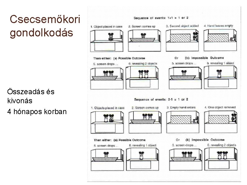 Csecsemőkori gondolkodás Összeadás és kivonás 4 hónapos korban 